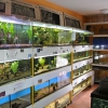 Cherra - akvaristika, chovatelské potřeby Žďár nad Sázavou