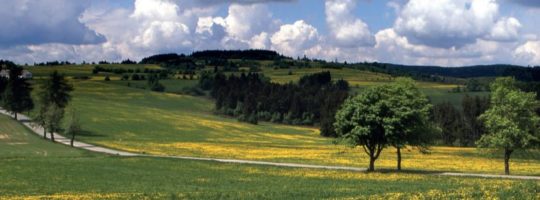 Čistá Vysočina 2015, sběr odpadu, úklid