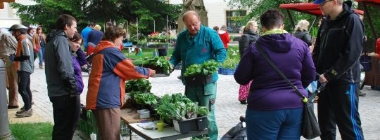 Dvanáct farmářských trhů doprovodí zábavný program