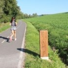 Přístroj sčítá cyklisty i pěší na cyklostezce u Pilské nádrže