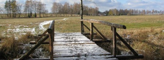 Naučnou stezkou severskou přírodou kolem Velkého Dářka