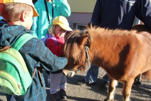 vystava-vysociny_2016_mb_img_3880