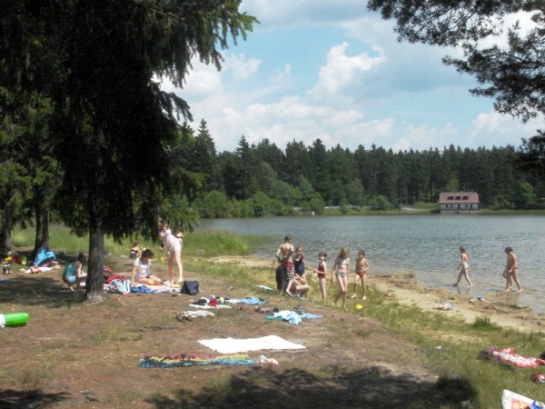 sykovec