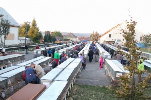 Výstava Vysočiny 2015 Bohdalov