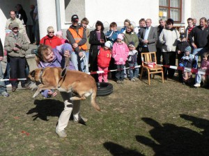 vystava-vysociny-bohdalov-2